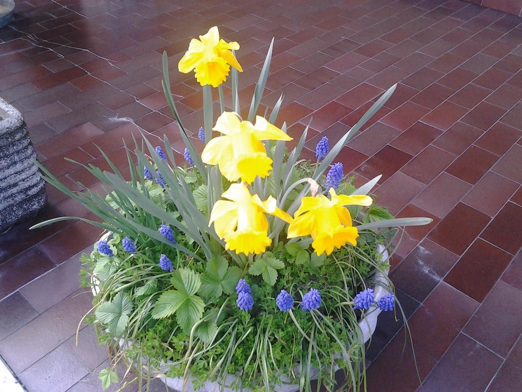 Frühstückspension Le Magnolie 3*